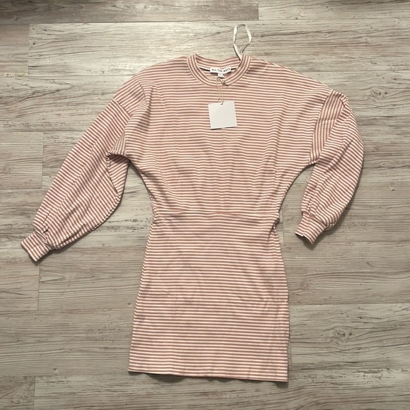 NWT ALL THE WAYS Tanya Blouson Dress in Striped Pink Small - Picture 2 of 3